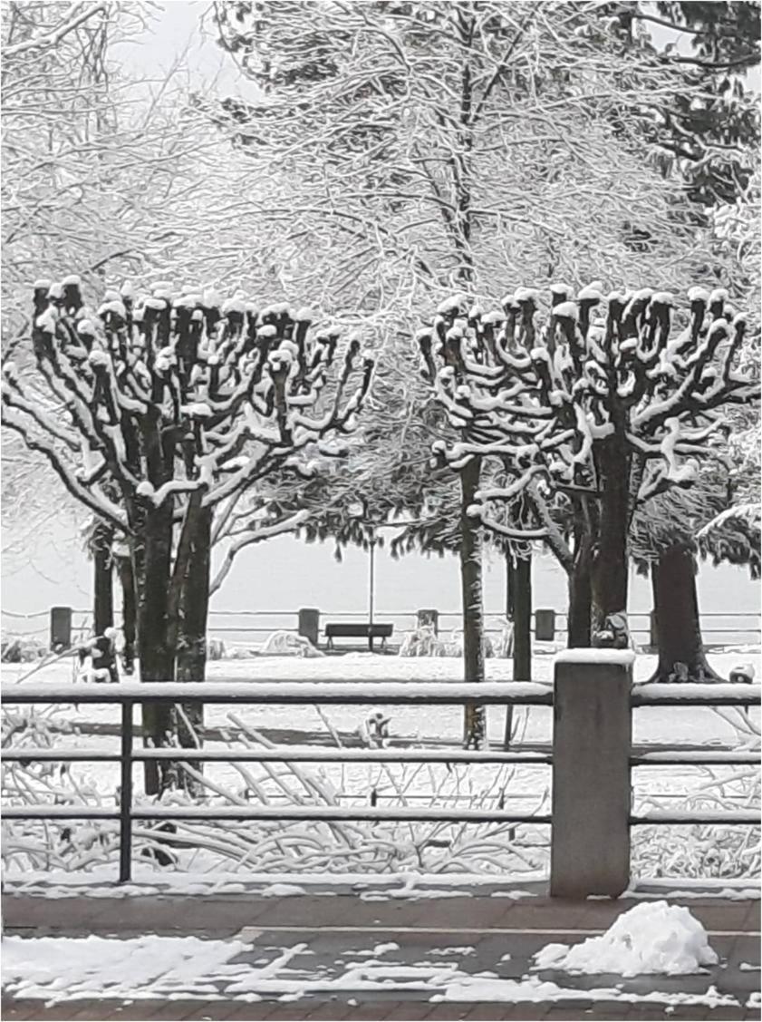 Ferienwohnungen Am Uferpark Blaser Friedrichshafen Extérieur photo